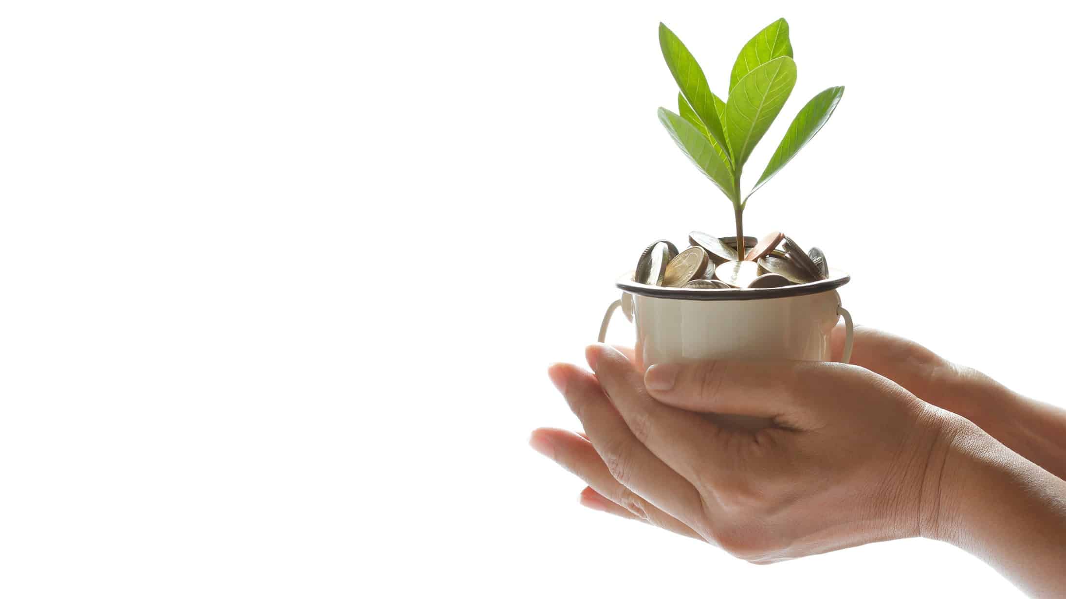 a pair of hands holds a tin cup full of coins with a green plant growing from the top of it.