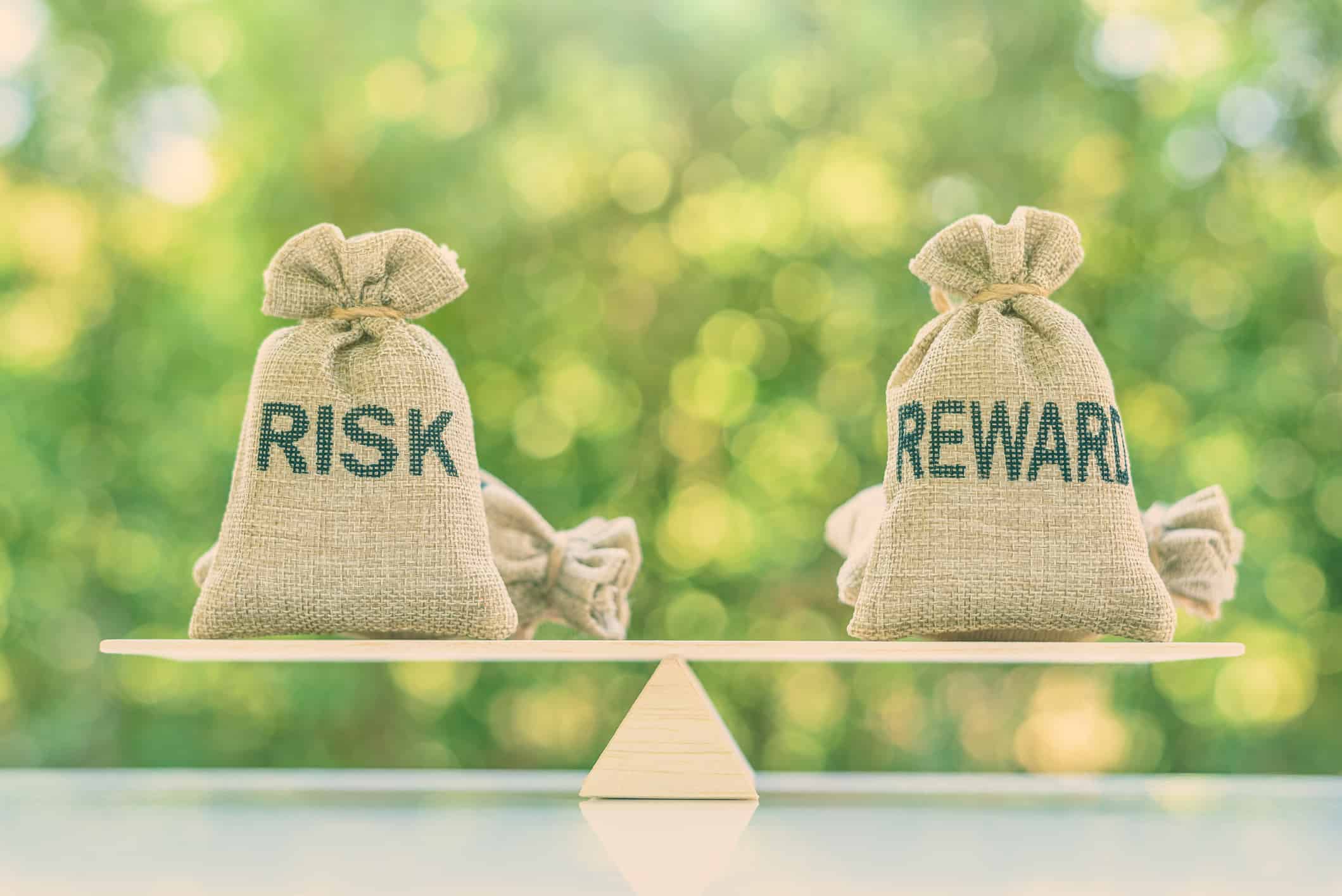 risk and reward in business plan