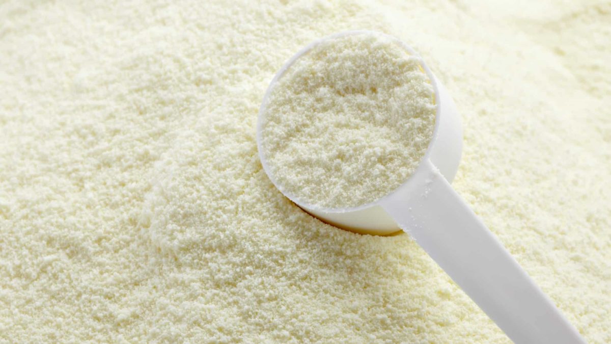 scoop containing infant milk formula powder, Buns share price