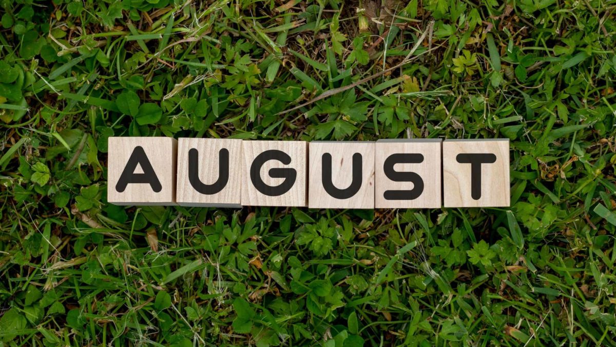 wooden blocks on grass spelling august