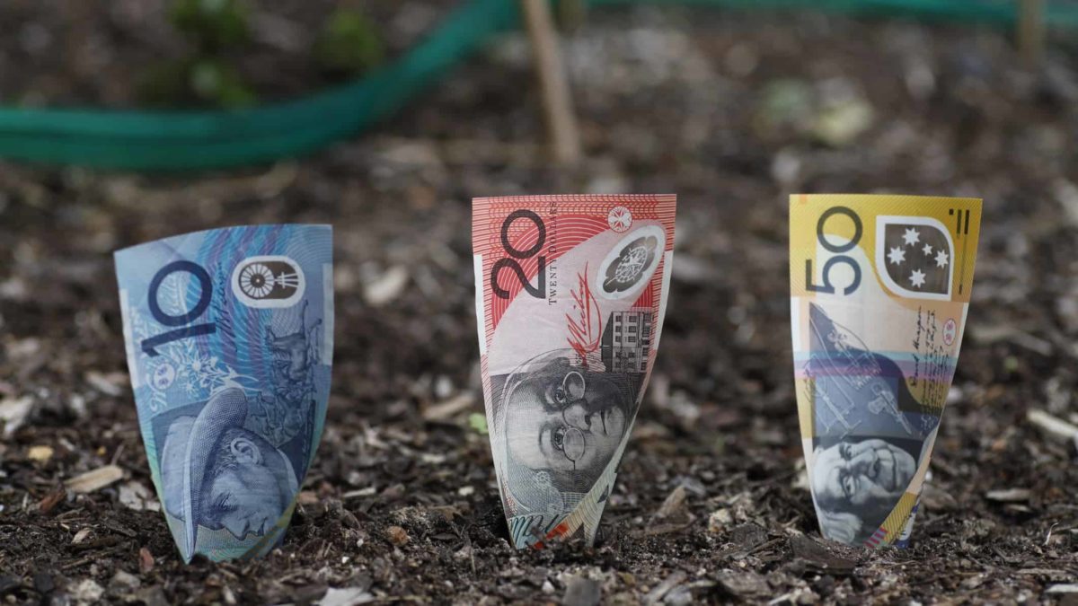$10, $20 and $50 noted planted in the dirt signifying asx growth shares