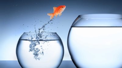 Share price jump represented by goldfish leaping from small fishbowl to larger bowl
