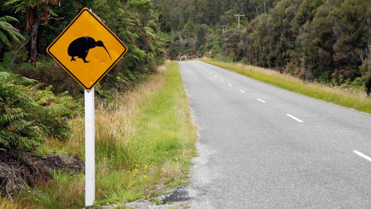 road sign with new zealand kiwi on it