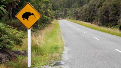 road sign with new zealand kiwi on it