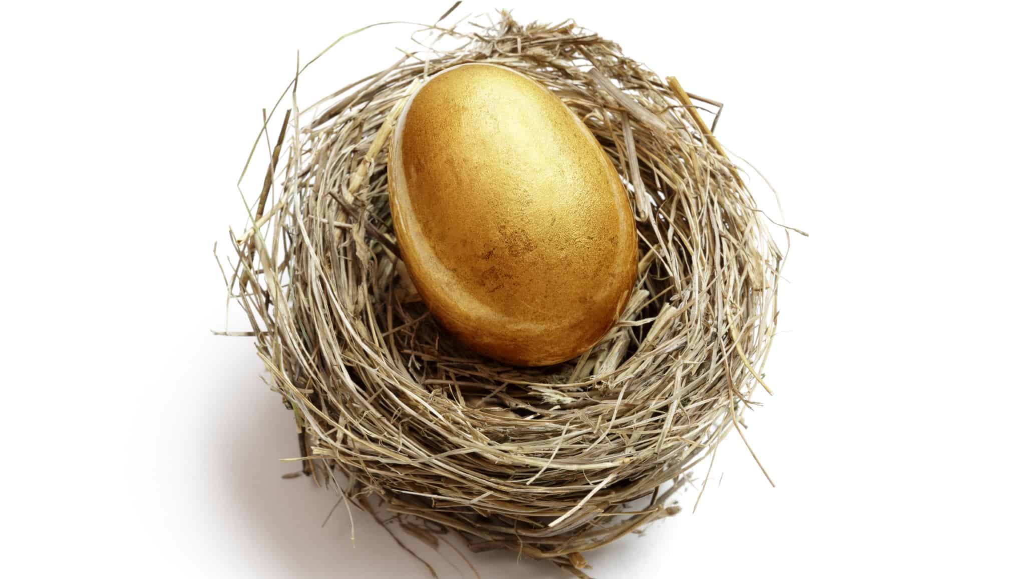golden egg in a nest representing a SMSF investment