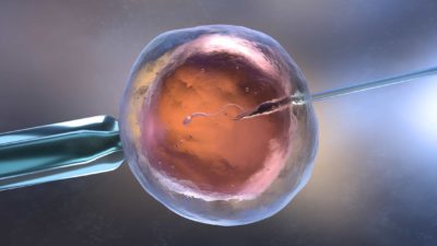 digitised image of IVF taking place representing Virtus share price