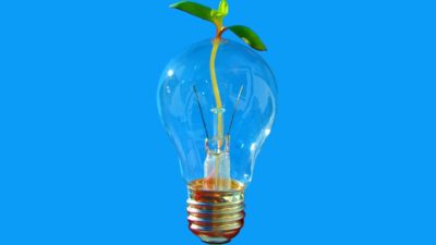 Lightbulb with green shoot growing out of it on a blue background