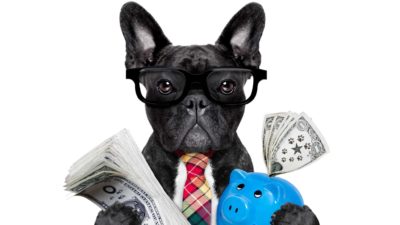 getting growth and income from asx shares represented by dog holding cash in one hand and a piggy bank in the other