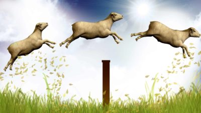 sheep leaping over a pole representing leaping elders share price