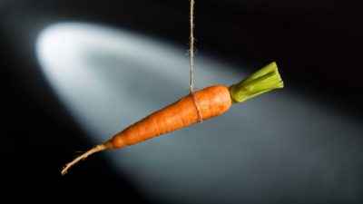 Orangle carrot dangles as an incentive, indicating a rising share price movement