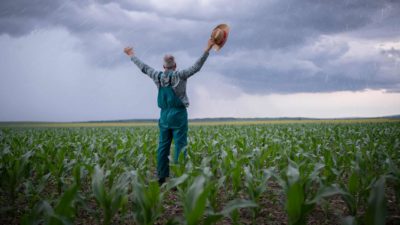 A farmer in a field of crops with arms in the air rejoices as he welcomes rain.