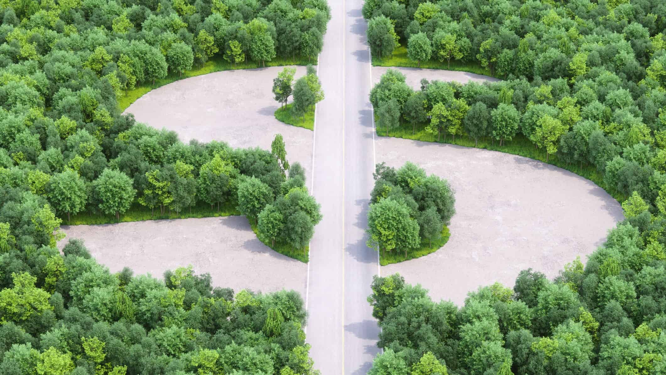 Trees and a road shapes a dollar sign of green, indicating the share price movement of ASX eco companies