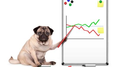 asx 200 share price represented by dog pointing to share price chart