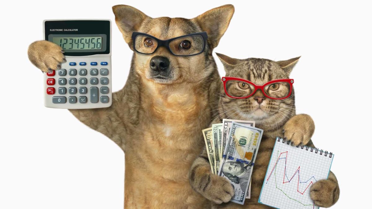 investors in asx shares represented by cat and dog wearing glasses and holing charts and cash
