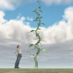 Growth of ASX share price represented by tiny beans stalk shooting up into the sky