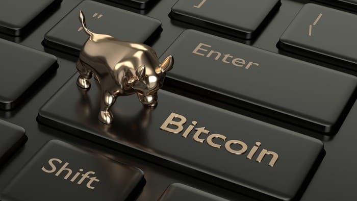 bitcoin price rise represented by gold bull sitting on keyboard with bitcoin button