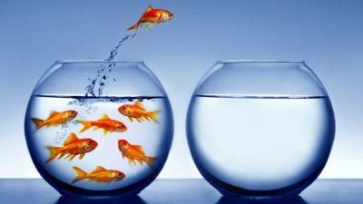A goldfish jumps out of a crowded fishbowl into another empty bowl, indicating an ASX market leader with a strong share price
