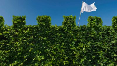 Hedging ASX shares against inflation represented by large green hedge with white flag behind it