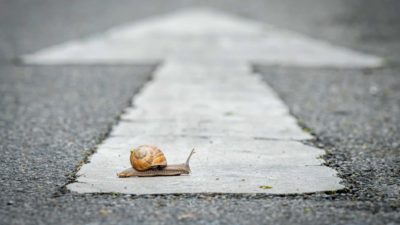 A snail crosses an arrow painted on a road... indicating slow share prive gains for ASX growth shares