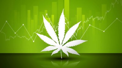 A white cannabis leaf set against a green background with a graph going up, indicating a rising share price for ASX cannabis shares