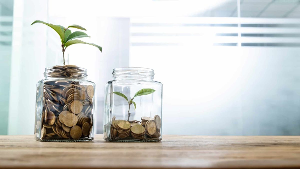 Two small seedlings planted in two jars atop different amounts of coins, indicating share price movements for ASX growth and value shares