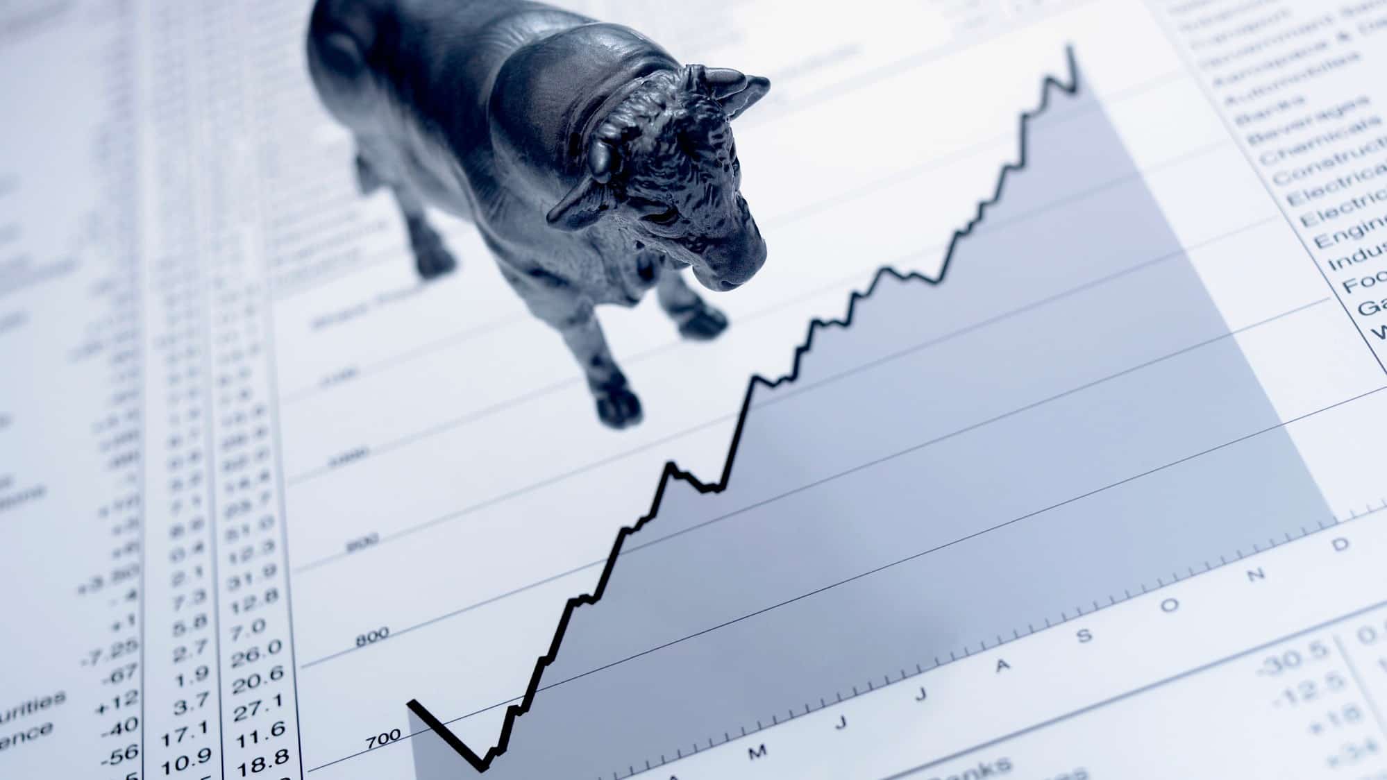 bull market model with a bull looking at a rising chart