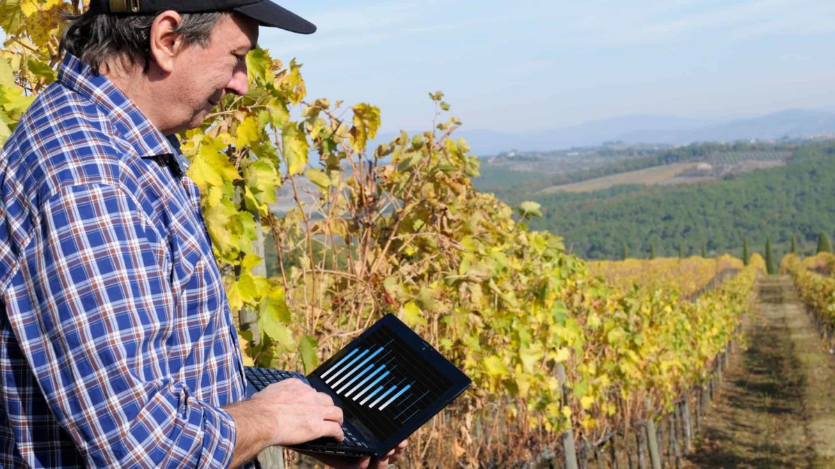 farmer using a laptop and looking at the share price