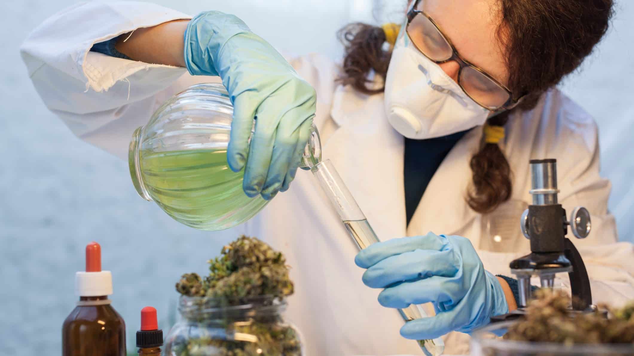 women working with medicinal marijuana, indicating a share price movement in ASX cannabis shares