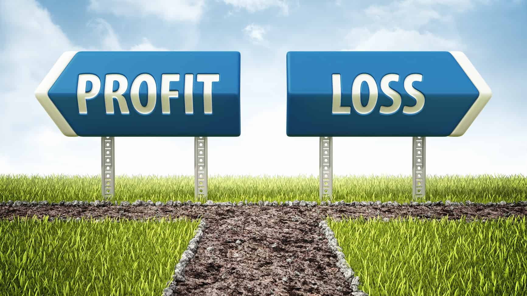 A path through the grass leads to two signs, pointing to profit and loss