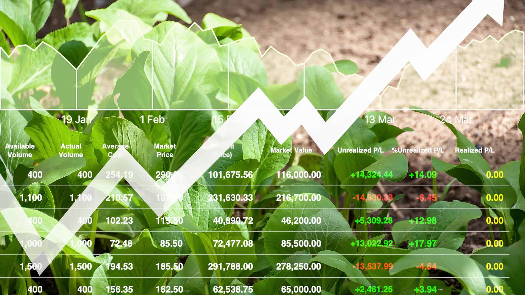chart showing rising price of agriculture investment