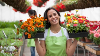 worker holding flowers and potted green plants at a plant nursery