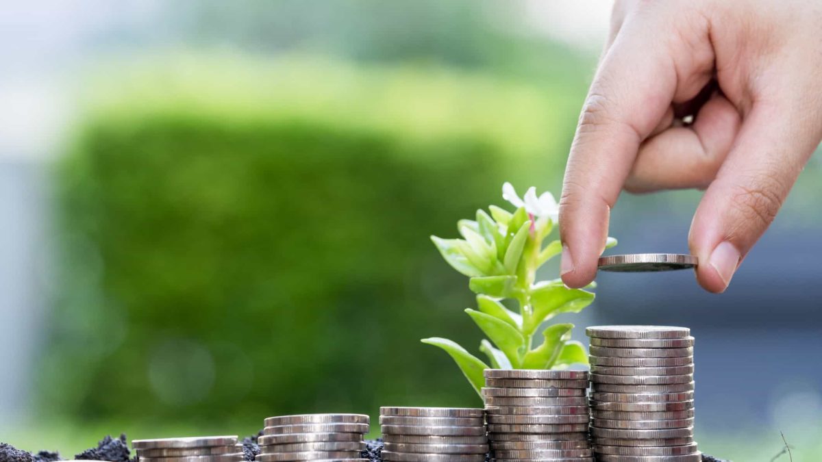 rising share price/money piles with green plant and green background