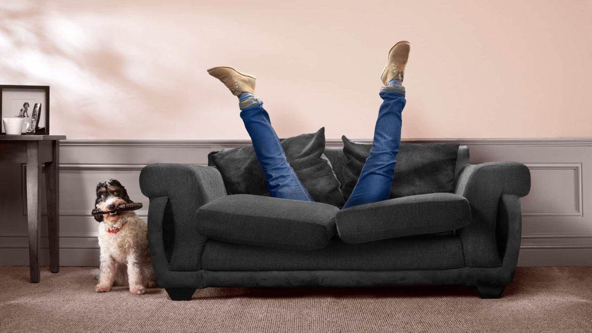 Man's legs poking out of a brown sofa while his body is sinking down into the back of it, dog looking on
