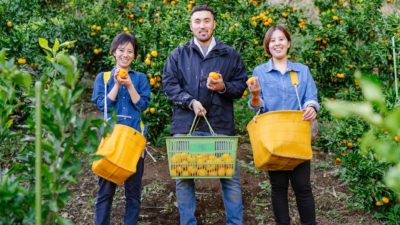 A team of citrus pickers smile with their baskets of orange fruit standing in a citrus orchard.