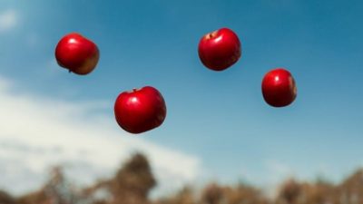 apples in the air representing floating apple price