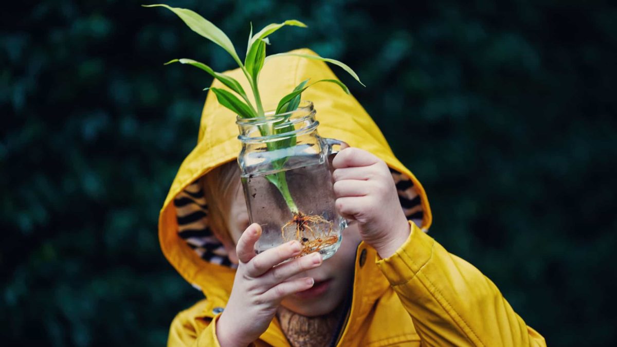 boy holding a jar watching growth of a plant