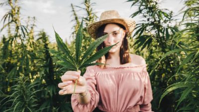 A woman wearing a pink blouse and straw hat holds up a cannabis leaf with tall green cannabis plants in the background