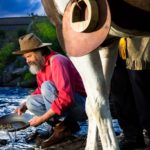 Miner panning for gold next to a horse in the outdoors.
