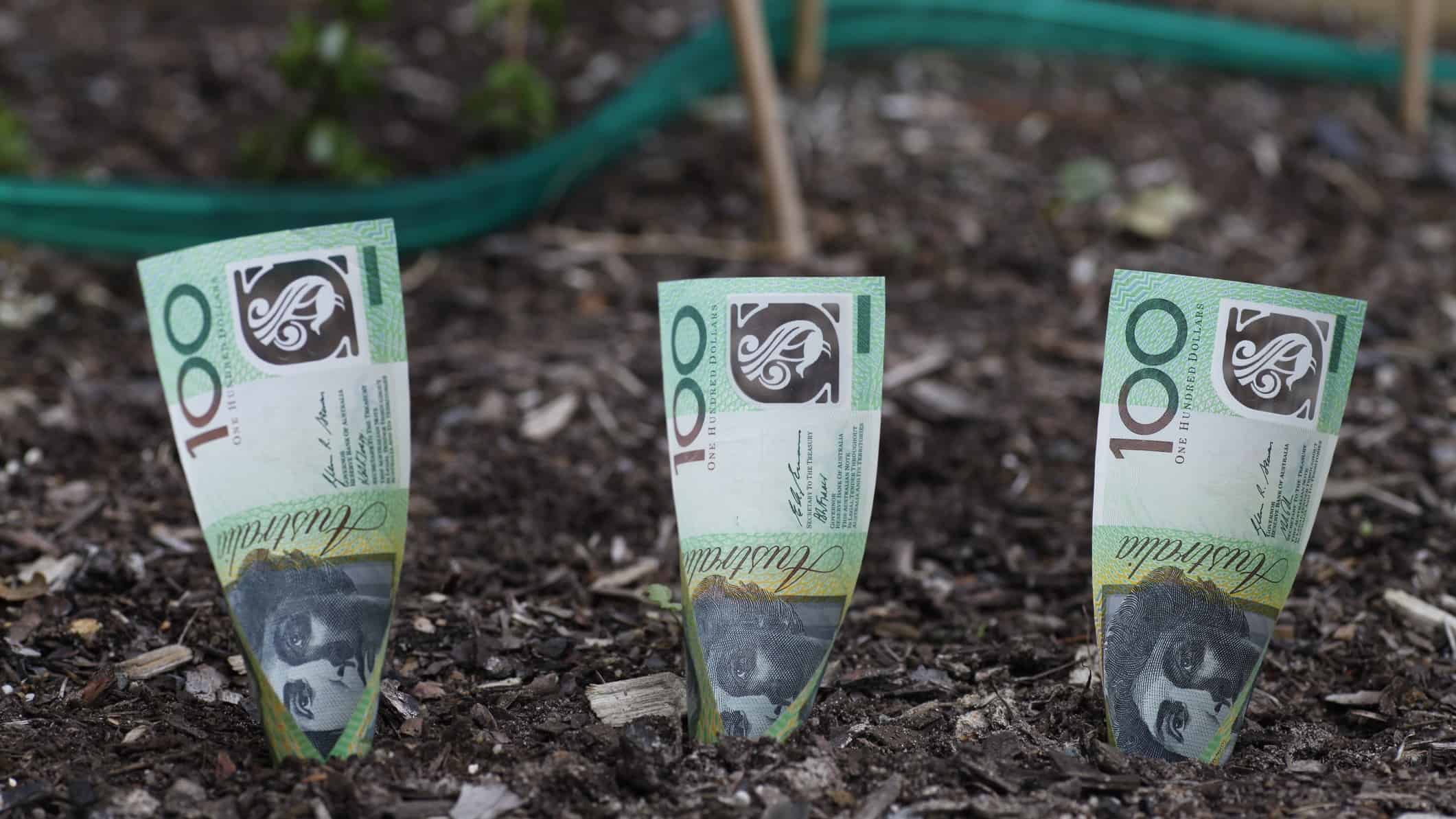 one hundred dollar notes planted in the ground representing growth asx shares