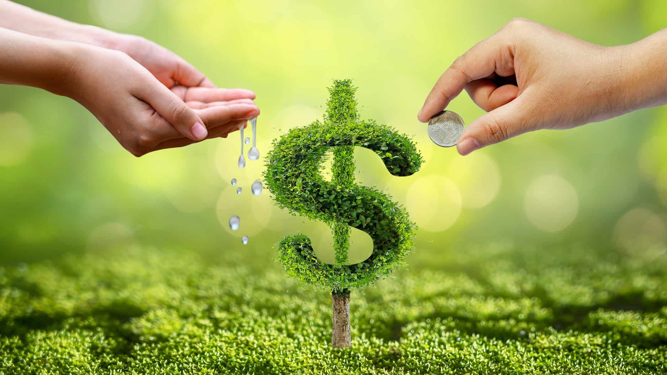 Dollar sign made from grass growing from ground as one person drips water on it and another holds coin