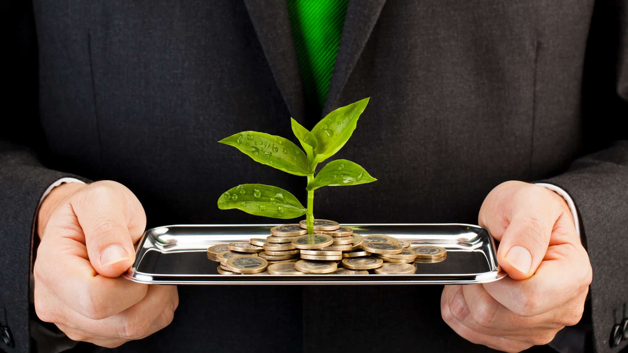 Close-up photo of man's hands holding silver platter with coins and young plant growing out of pile of money