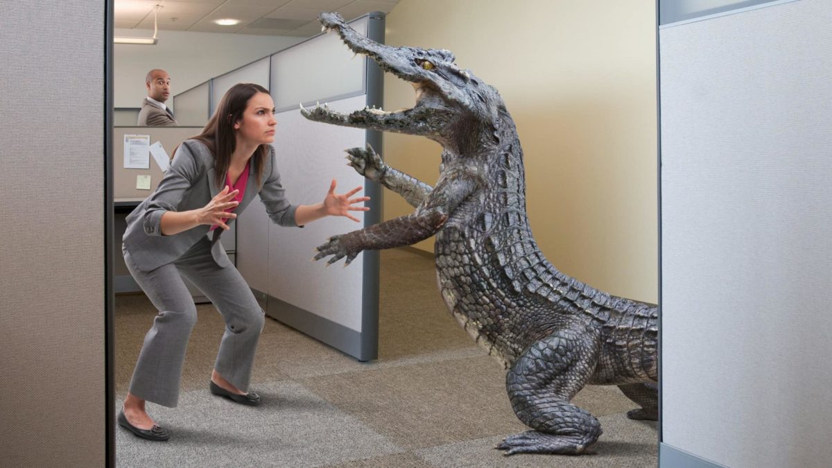 An alligator fights with a businesswoman in an office.