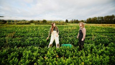 Woolworths share price sustainable bonds Young farm workers chatting in large green field