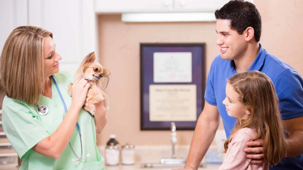 a father and his daughter stand at the counter while a vet wearing her uniform holds their small dog and scratches it under its chin.