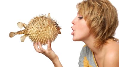 a woman holds a fully blown puffer fish close to her face and makes a similar open lipped expression as the fish.