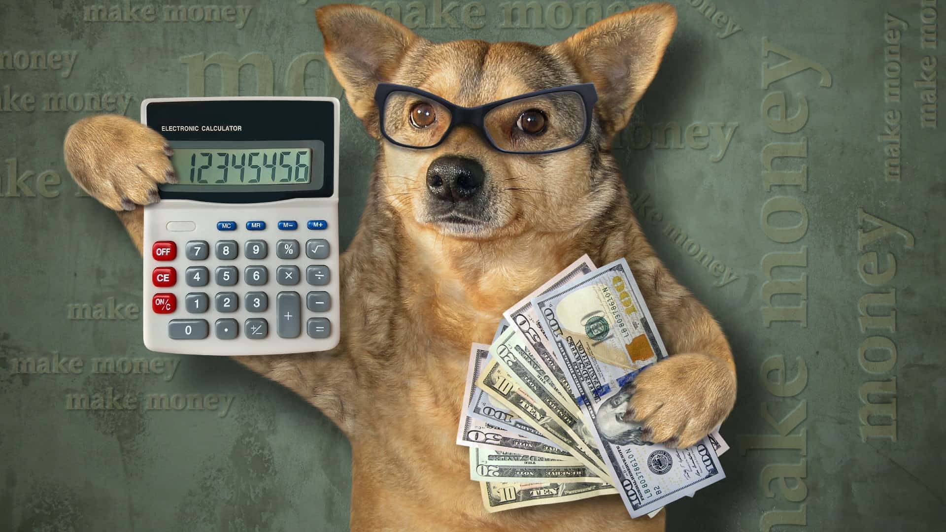The dog businessman in glasses is holding a calculator and a fan of dollars.