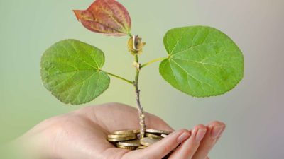A hand holds coin and a small growing plant.
