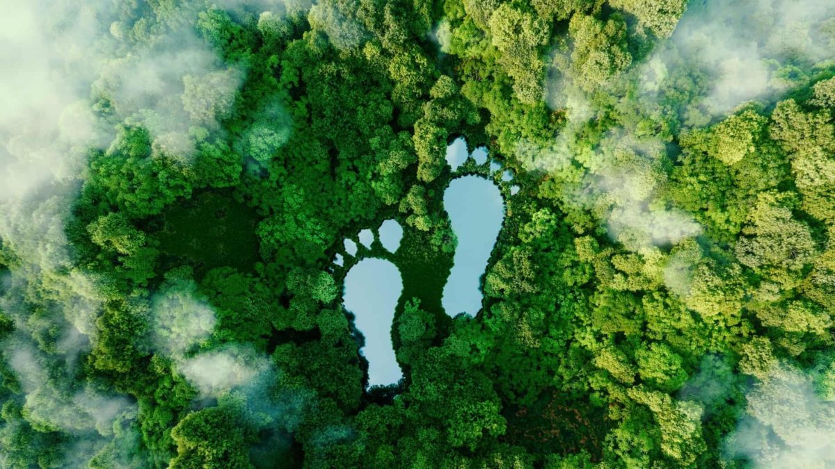 Lakes in the form of footsteps among the green trees, indicating steps towards a healthier planet