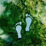Lakes in the form of footsteps among the green trees, indicating steps towards a healthier planet