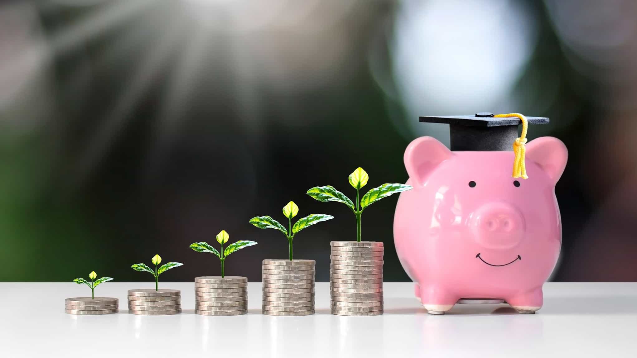 A smiling pink piggy bank graduates after years of growth